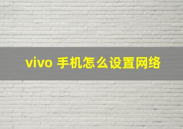 vivo 手机怎么设置网络